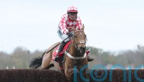 Nicky Henderson relishing King George test with Jango Baie