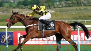 Lulamba in the running for Grade One glory at Sandown