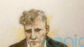 Driver sobs as he pleads guilty to Liverpool parade crash charges