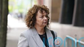 Committee hears claims Ni Chuilin’s son was involved in damaging DUP portrait