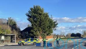 Passengers on bus involved in fatal crash urged to come forward