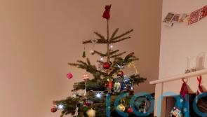 Not just for Christmas: How to choose toys your children will play with for years