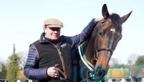 Constitution Hill sets out on redemption trail at Newcastle