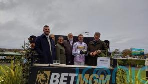 Golden Ace triumphs in dramatic Fighting Fifth Hurdle