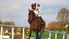 Elliott: Romeo looking good ahead of Drinmore