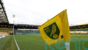 Norwich back on the winning trail after victory over QPR