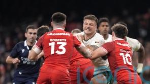 Under-strength Wales suffer record defeat to world champions South Africa