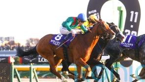 Calandagan the man in Japan