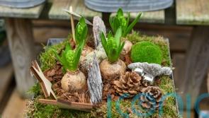 How to make your Christmas bulbs last longer