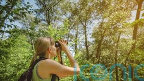 Are birdwatching holidays going to be the big trend for 2026? Advice and where to go
