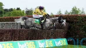 Il Etait Temps facing best of British at Sandown