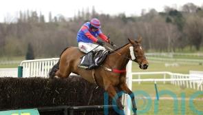 Mr Vango to get taste of National fences this weekend