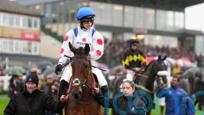 Nicholls pondering next steps for Kalif Du Berlais