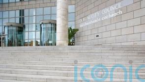 Proposal to rename Herzog Park in Dublin not ‘legally sound’