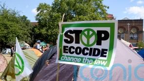 Minister backs ecocide Bill as environmental crime ‘important to public’