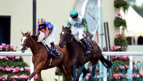 Porta Fortuna and Barnavara make waves at Tattersalls