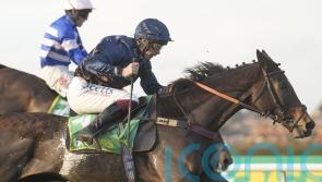 Peterborough run could be key to Djelo King George hopes