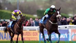 Jagwar team looking forward to Cheltenham Gold run