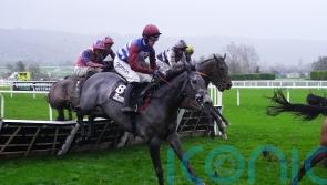 Nicholls believes Winter role is made for Drama