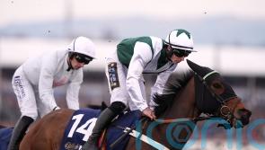 Panther hunting Grade One glory at Leopardstown