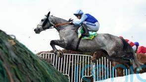 No rush to map out next outing for Resplendent Grey