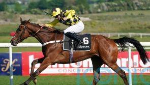 McGrath backing Lulamba to reign in Henry VIII Chase