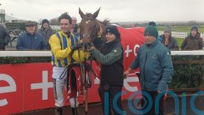 Doctor Steinberg leads Navan hat-trick for Mullins team