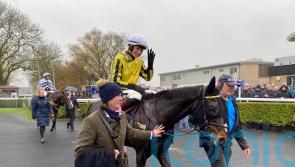 Ambiente Friendly up and running over hurdles