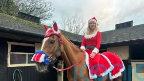 Royalist racegoers can buy a share in racehorse to support cancer charity