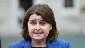 Stricter rules for puppy farms is ‘something people want action on’, Dail hears