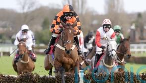 Diva Luna primed for next step on the road to Cheltenham