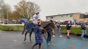 Why has Watts Wondering about Cheltenham