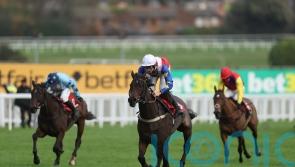 Hurricane Pat team take stock after impressive Sandown win