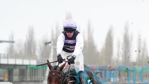 July Flower aiming to bloom at Leopardstown