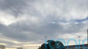 Village Christmas tree cut down hours after lights switch on