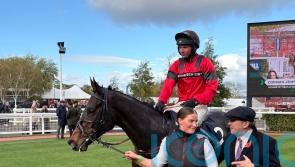 Conman looking to get the money at Cheltenham