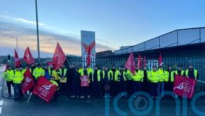 Striking Guinness workers warn of St Patrick’s Day supply hit amid pay dispute