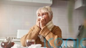 How to spot the difference between a common cold and winter flu