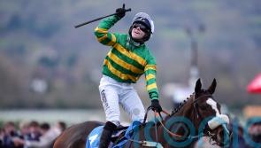 Talented Jagwar primed for December Gold run