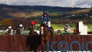 Blaze shows the Way home at Cheltenham