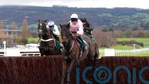 Sixmilebridge continues to progress with Cheltenham triumph