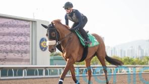 Atzeni hoping stage is set for Giavellotto repeat