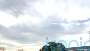 Two men arrested after village Christmas tree cut down