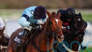 Carlenrig takes narrow Cheltenham verdict for Skelton team