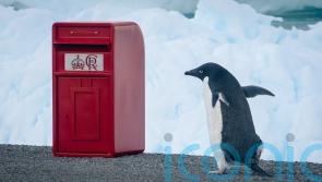 King&rsquo;s special post box delivery for scientists in the Antarctic