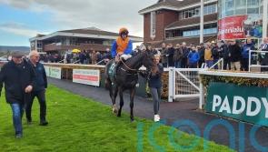 Mister Pessimistic giving De Bromhead cause for optimism