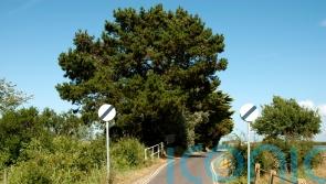 No change to speed limits for cars after consultation, minister confirms