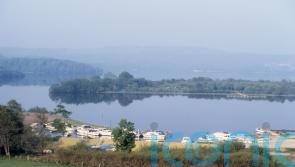 Vigilance urged as quagga mussel discovered for first time in NI