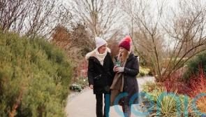 Garden-inspired winter walks to blow the cobwebs away