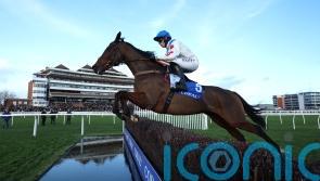 Regent&rsquo;s Stroll makes no mistake at Wincanton